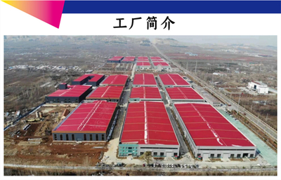 瑞龍環(huán)保咨詢服務(wù) 專業(yè)護(hù)航企業(yè)綠色發(fā)展